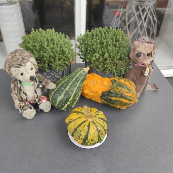 Музыкальная История 46