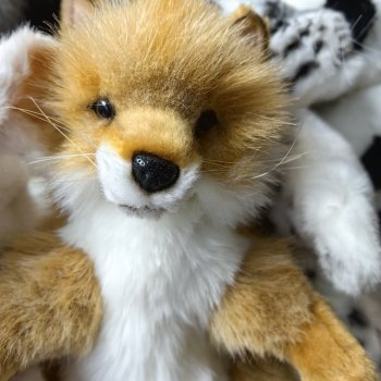 Музыкальная История 49