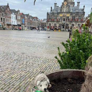 Музыкальная История 63