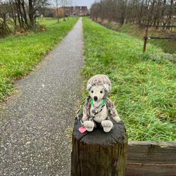 :Музыкальная История 78