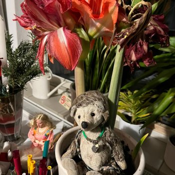 Музыкальна История 79