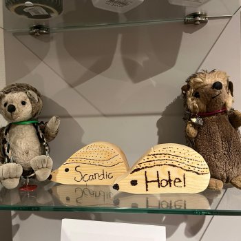 Музыкальная История 85