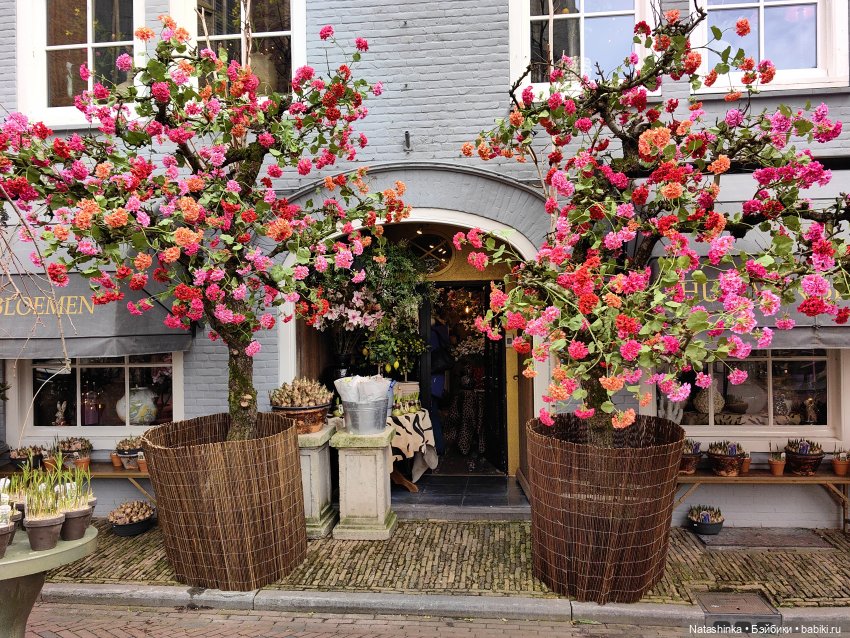 Музыкальная История 87 — Туризм и путешествия: фотоотчеты из поездок (фото 4)