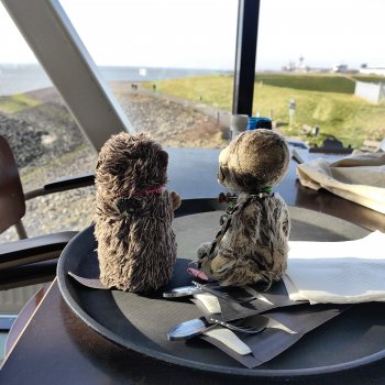 Музыкальная История 89