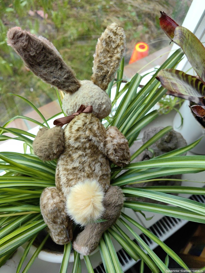 Музыкальная История 93 — Туризм и путешествия: фотоотчеты из поездок (фото 3)