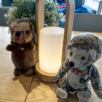 Музыкальная История 98