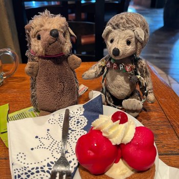 Музыкальная История 100