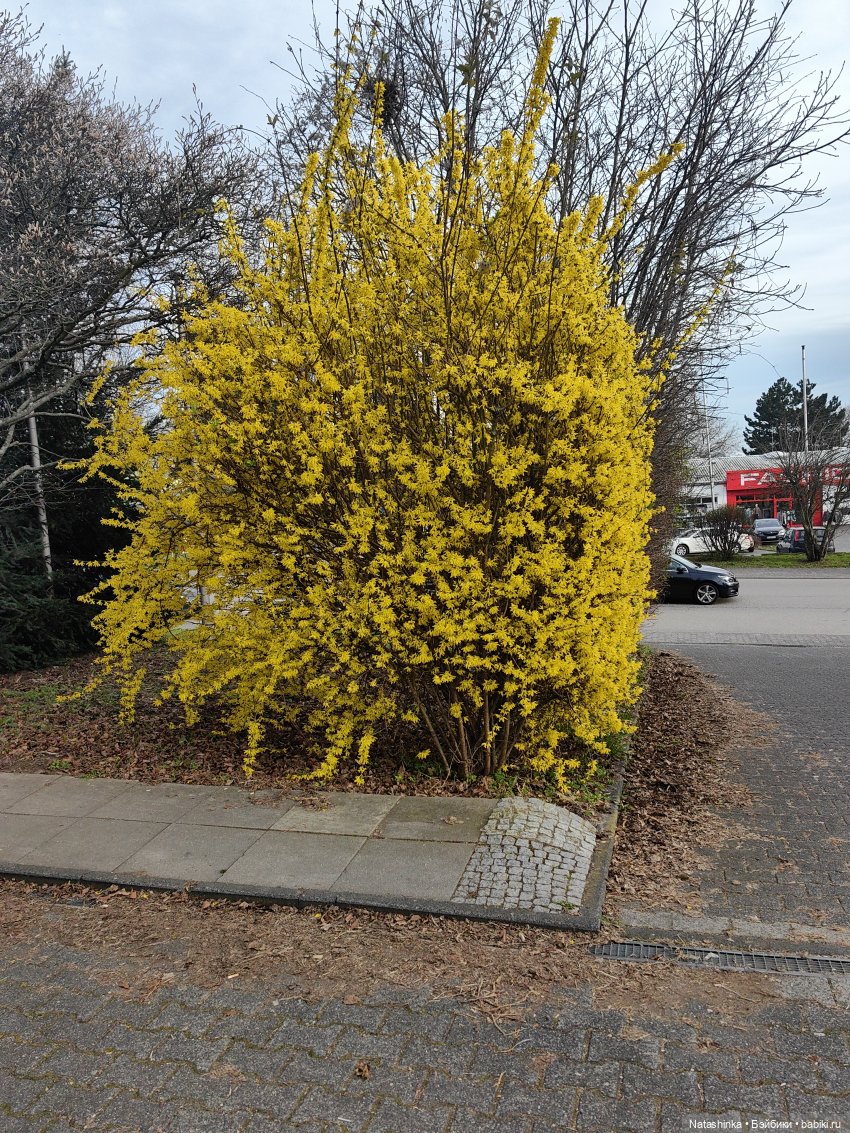 Музыкальная История 104 — Туризм и путешествия: фотоотчеты из поездок (фото 2)