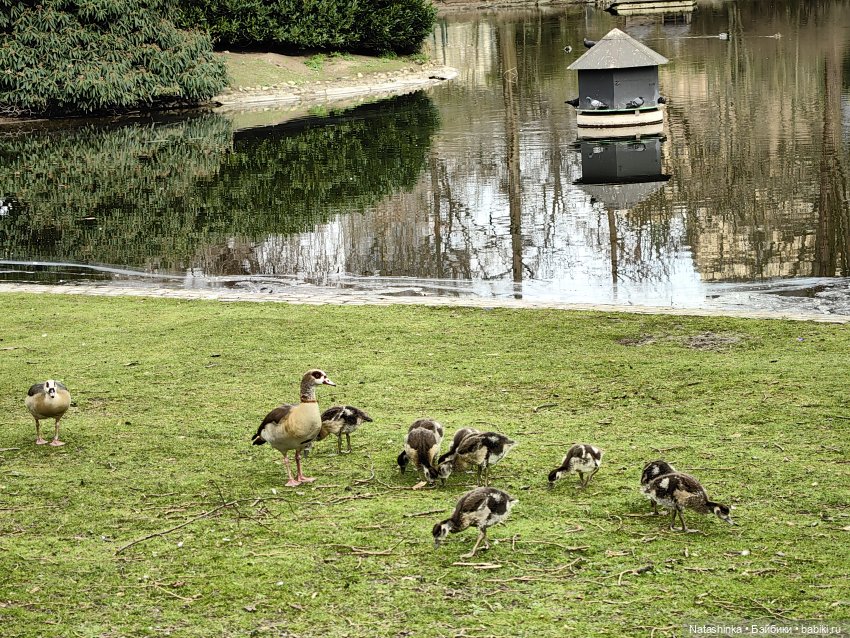 Музыкальная История 104 — Туризм и путешествия: фотоотчеты из поездок