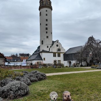 Музыкальная История 105