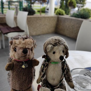 Музыкальная История 106