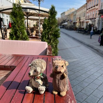 Музыкальная История 107