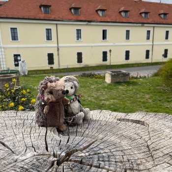 Музыкальная История 108