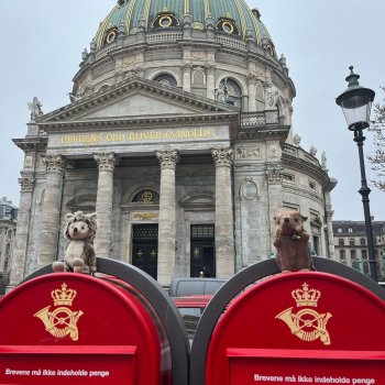 Музыкальная История 116