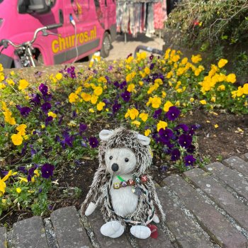 Музыкальная История 123