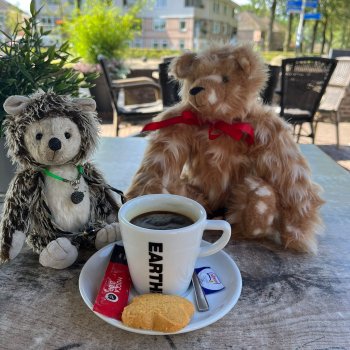 Немузыкальная История 1