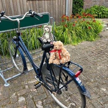 :музыкальная История 132