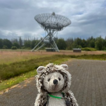 Музыкальная история 133