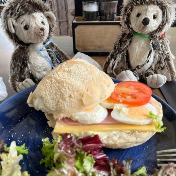 Музыкальная История 134