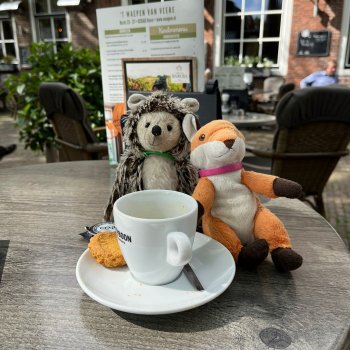 Музыкальная История 135