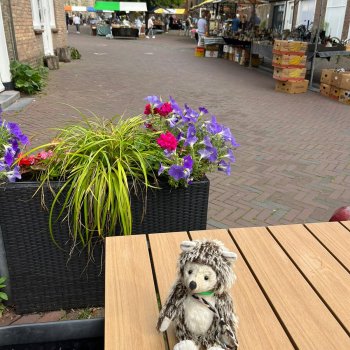 Музыкальная История 140