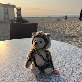 Музыкальная История 141