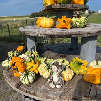 Музыкальная История 143