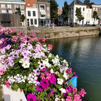 Музыкальная История 145