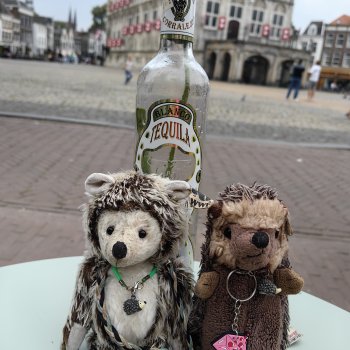 Музыкальная История 151