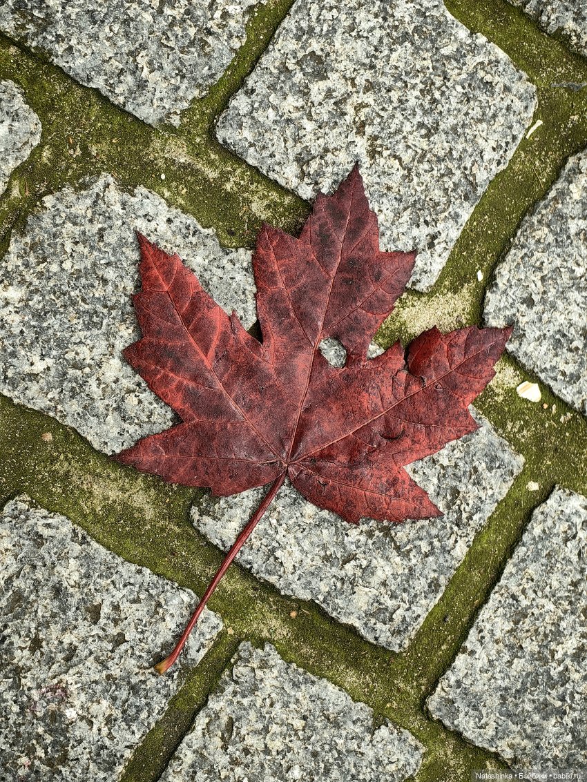 Музыкальная История 153 — Туризм и путешествия: фотоотчеты из поездок (фото 3)