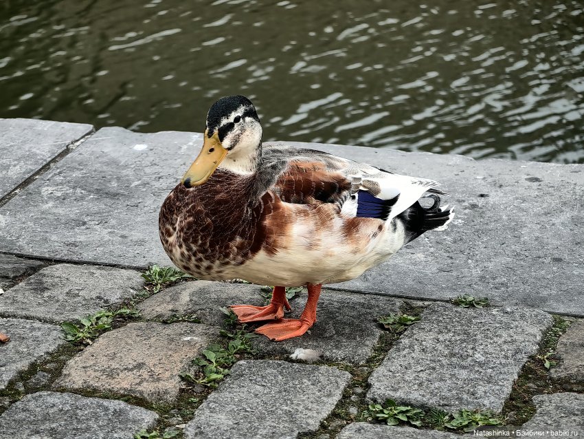 Музыкальная История 153 — Туризм и путешествия: фотоотчеты из поездок