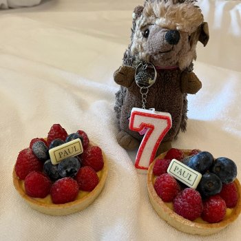 Музыкальная История 153