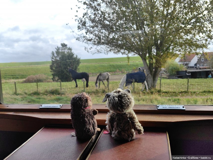 Музыкальная История 161 — Туризм и путешествия: фотоотчеты из поездок