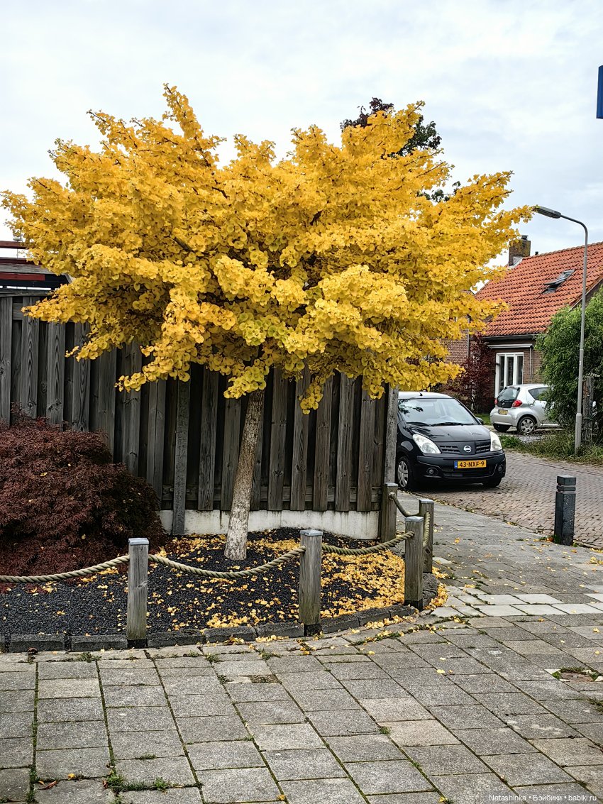 Музыкальная История 161 — Туризм и путешествия: фотоотчеты из поездок