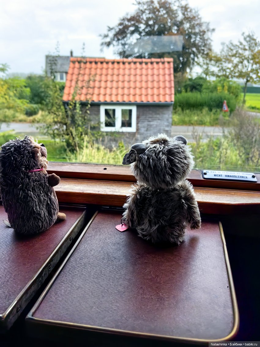 Музыкальная История 161 — Туризм и путешествия: фотоотчеты из поездок