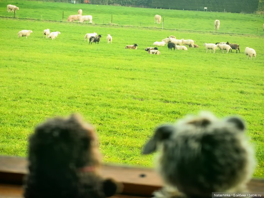 Музыкальная История 161 — Туризм и путешествия: фотоотчеты из поездок