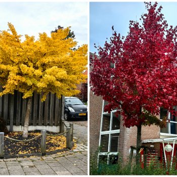 Музыкальная История 161