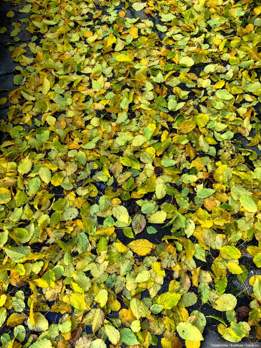 Музыкальная История. 168 — Туризм и путешествия: фотоотчеты из поездок