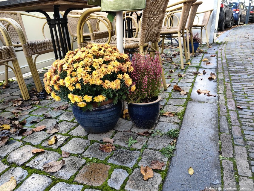 Музыкальная История 169 — Туризм и путешествия: фотоотчеты из поездок (фото 2)