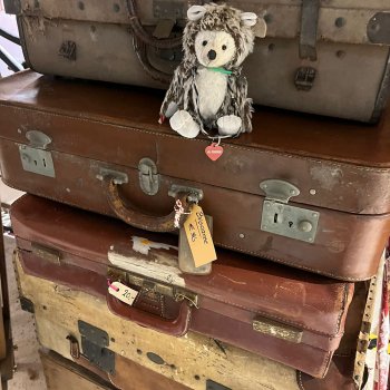 Музыкальная История 175