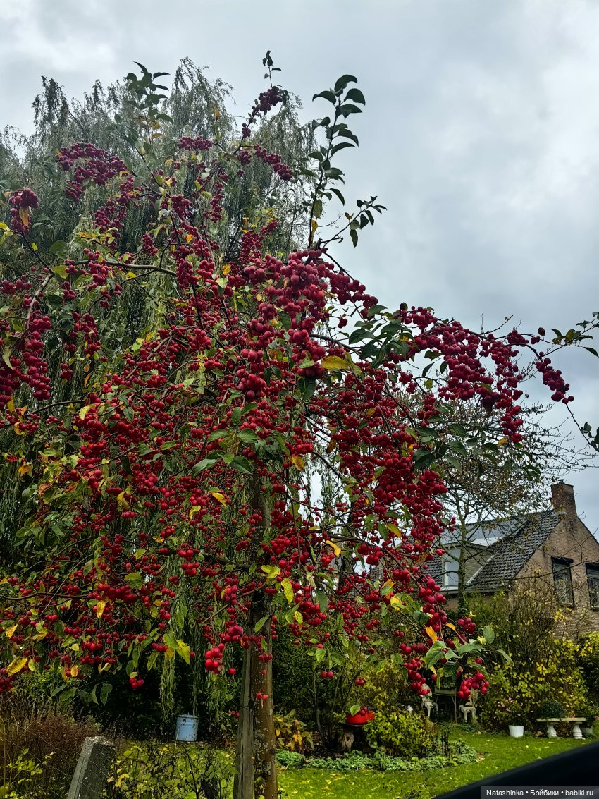 Музыкальная история 179 — Туризм и путешествия: фотоотчеты из поездок