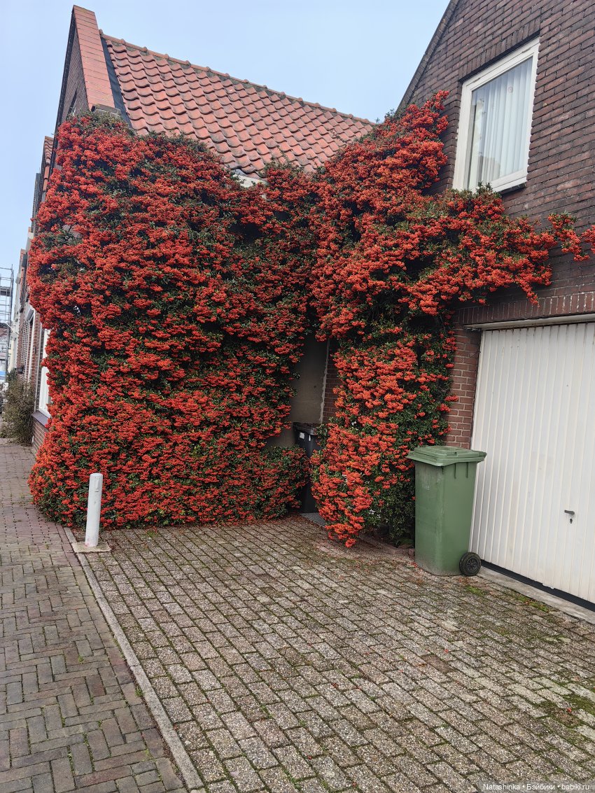 Мои Друзья 8 — Туризм и путешествия: фотоотчеты из поездок