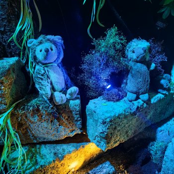 Музыкальная история 181