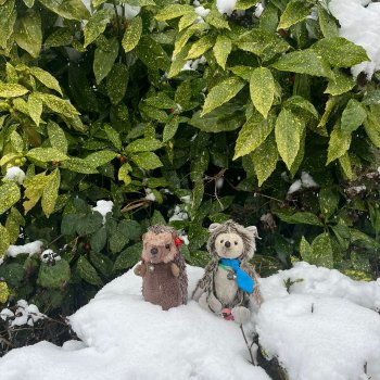 Музыкальная история 184.