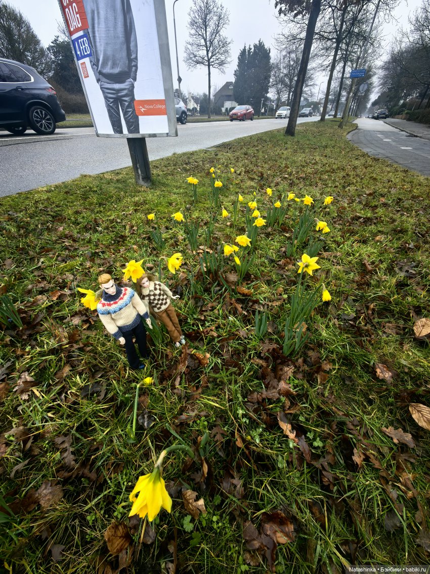 Мои Друзья 15 — Кукольные фотоистории и сериалы: комиксы