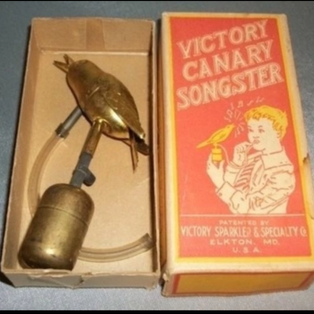 "Внимание!  Сейчас вылетит птичка! "