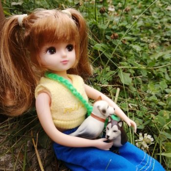 Необычные питомцы