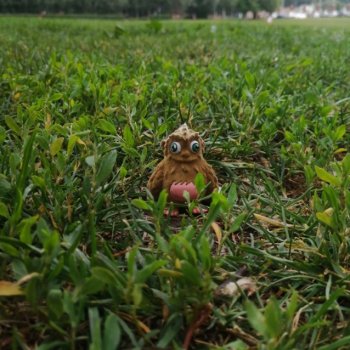 Лесной хранитель