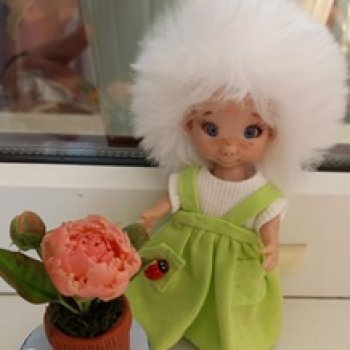 Как одеть  домовенка