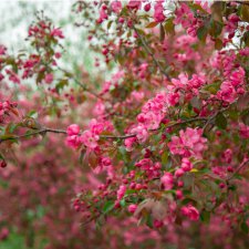 Ищу помощи в общении и покупке на Ебей от старожилов и опытных участников
